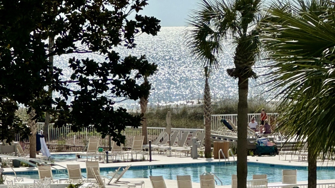 Photo of Outdoor in Palmetto Dunes