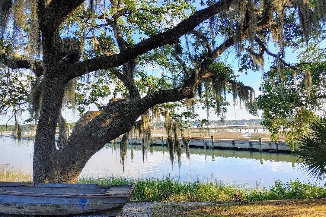 Photo of Outdoor in Palmetto Dunes