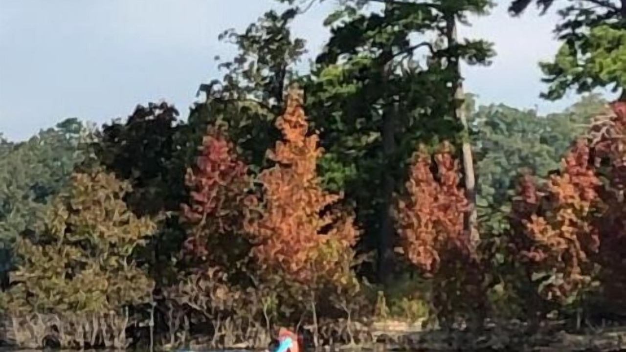 Photo of Others in Mount Ida