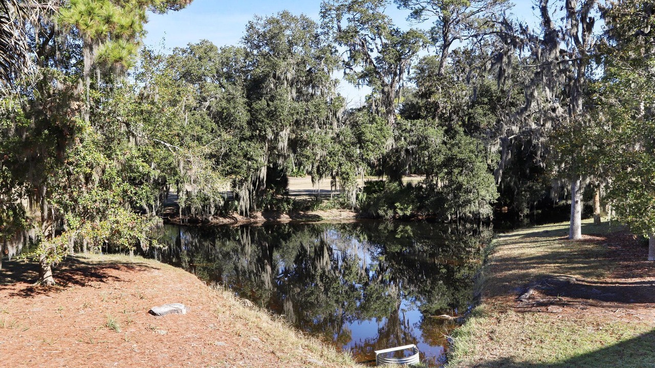 Photo of Outdoor in Shipyard Plantation