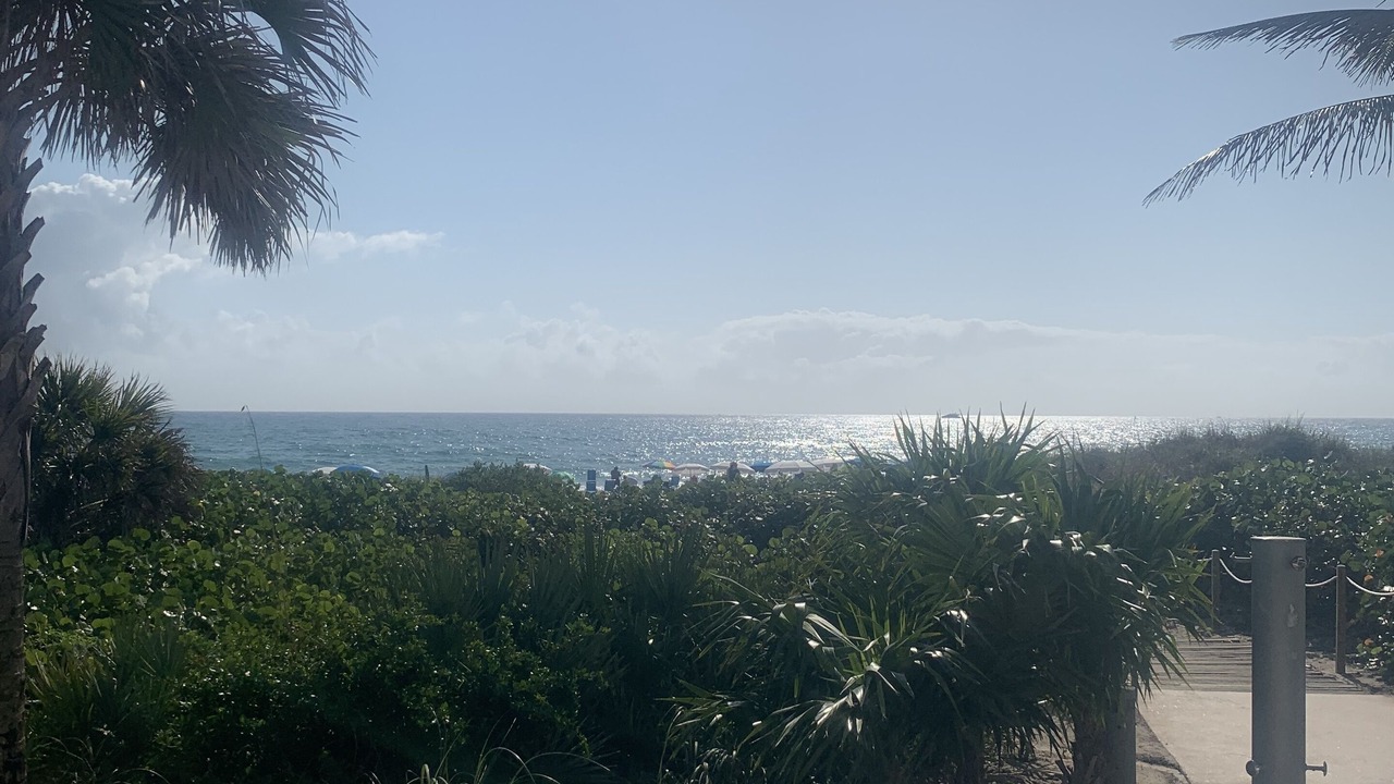 Photo of Outdoor in Shipyard Plantation
