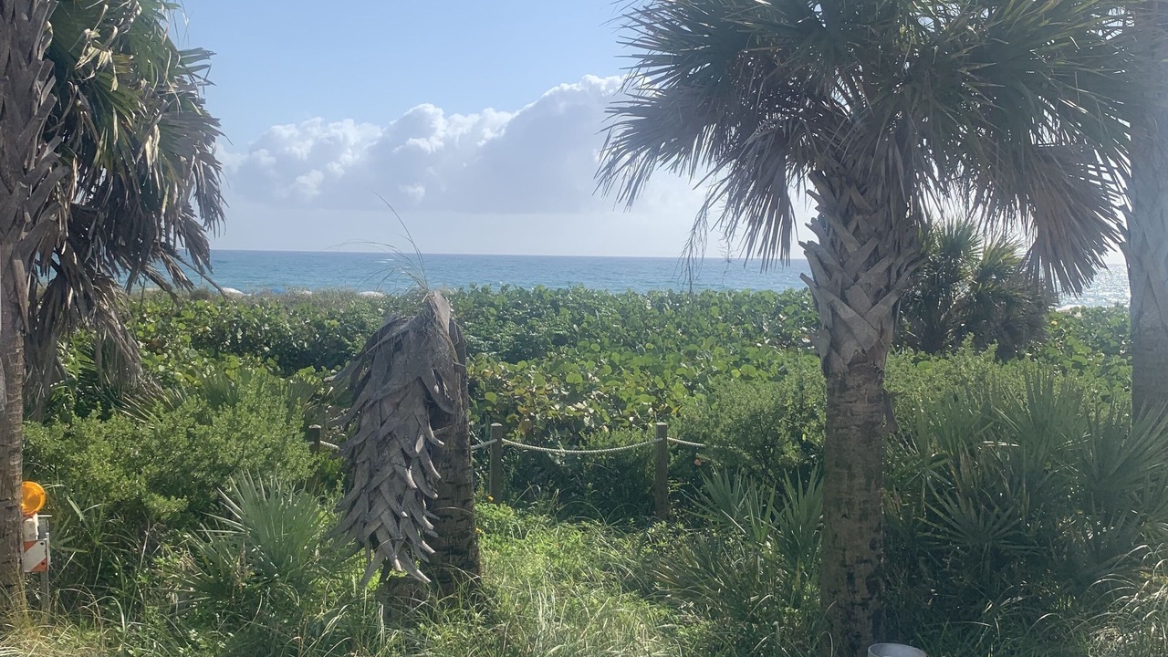 Photo of Outdoor in Shipyard Plantation