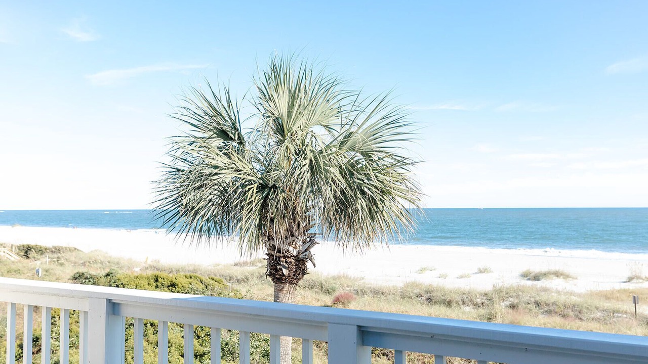 Photo of Others in Isle of Palms