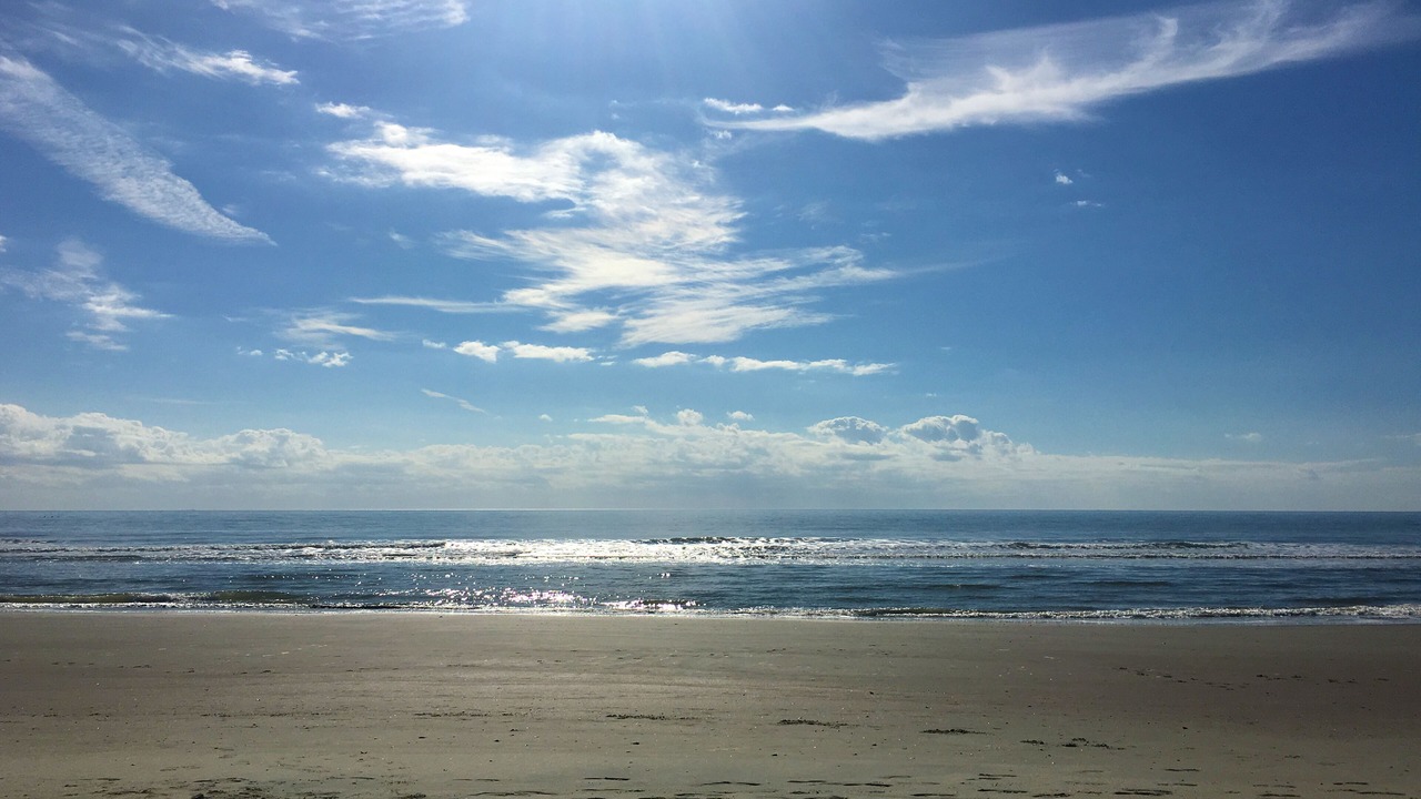 Photo of Others in Isle of Palms