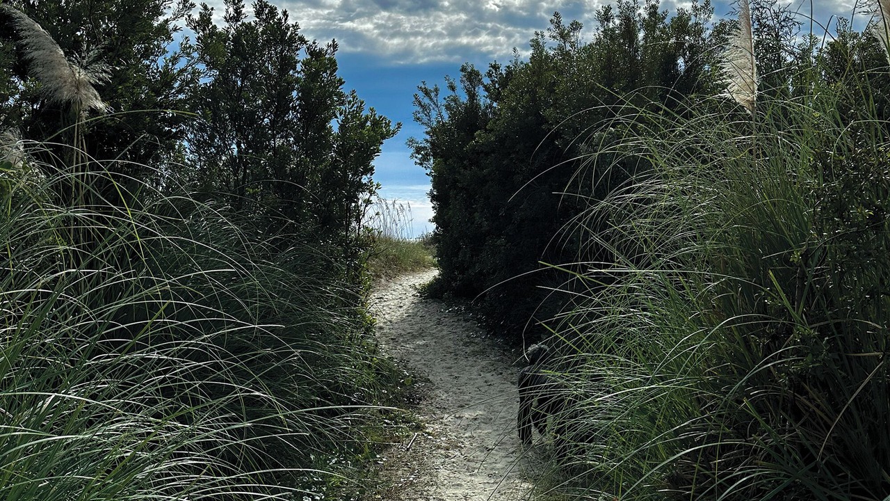 Photo of Others in Isle of Palms