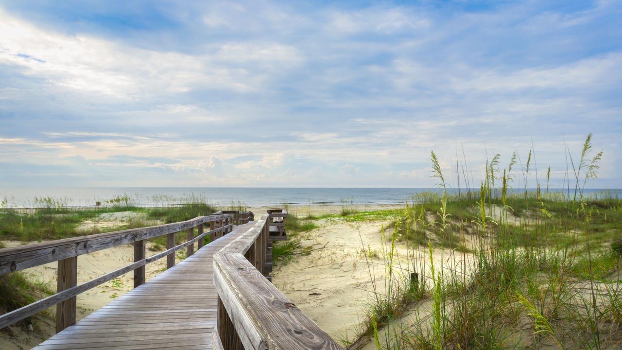 Photo of Others in Savannah Beach