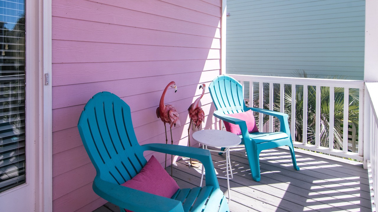 Photo of Others in Edisto Island