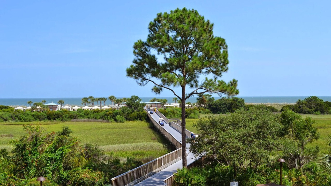 Photo of Outdoor in Palmetto Dunes