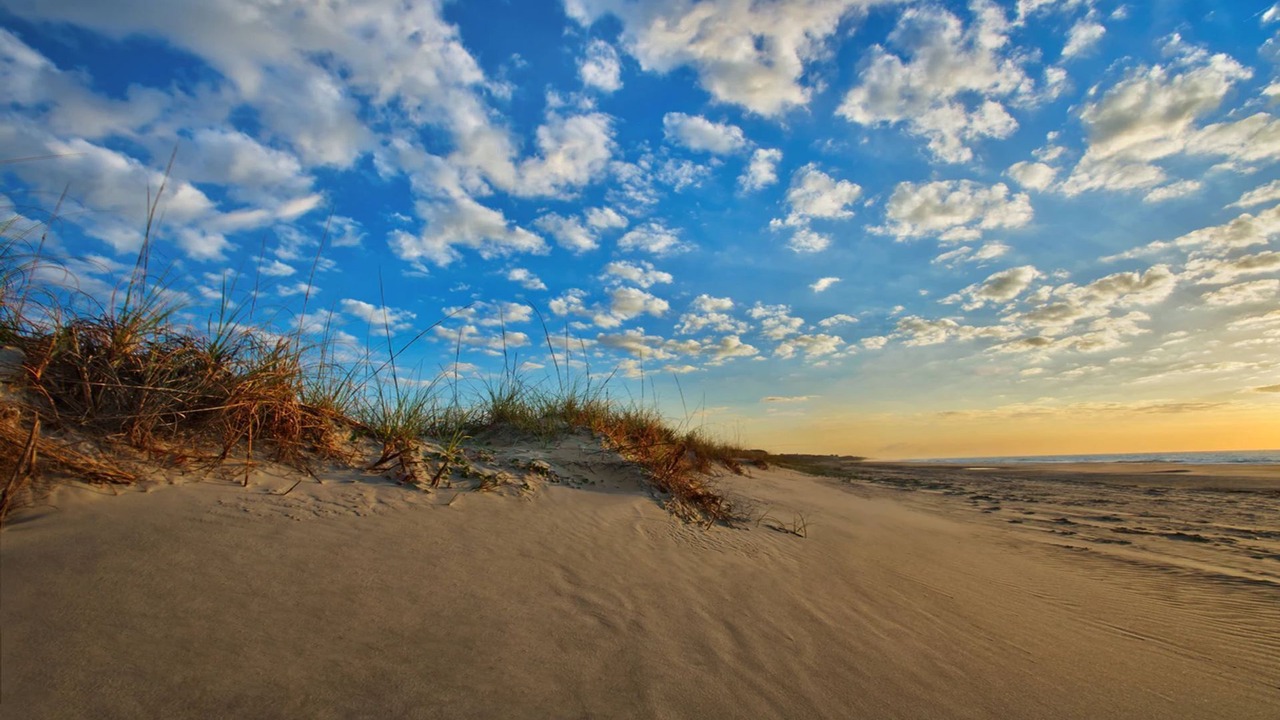 Photo of Others in Palmetto Dunes