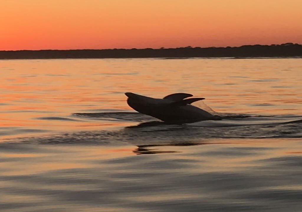 Photo of Others in Edisto Island