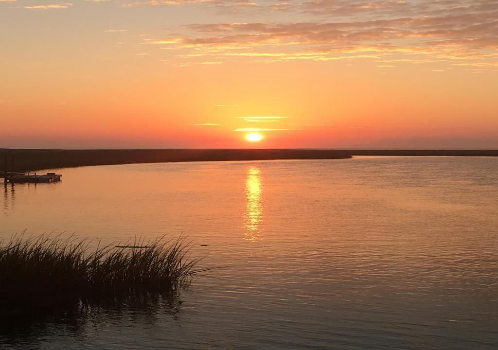 Photo of Others in Edisto Island