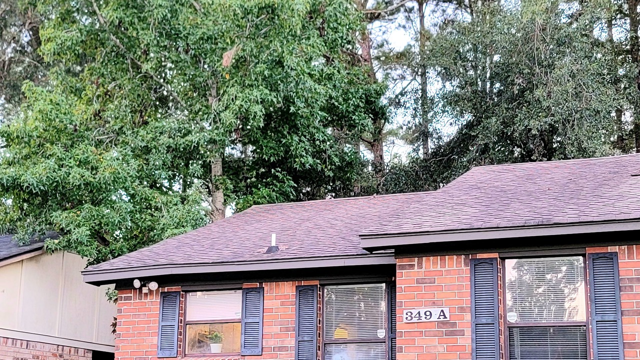 Photo of Outdoor in North Charleston