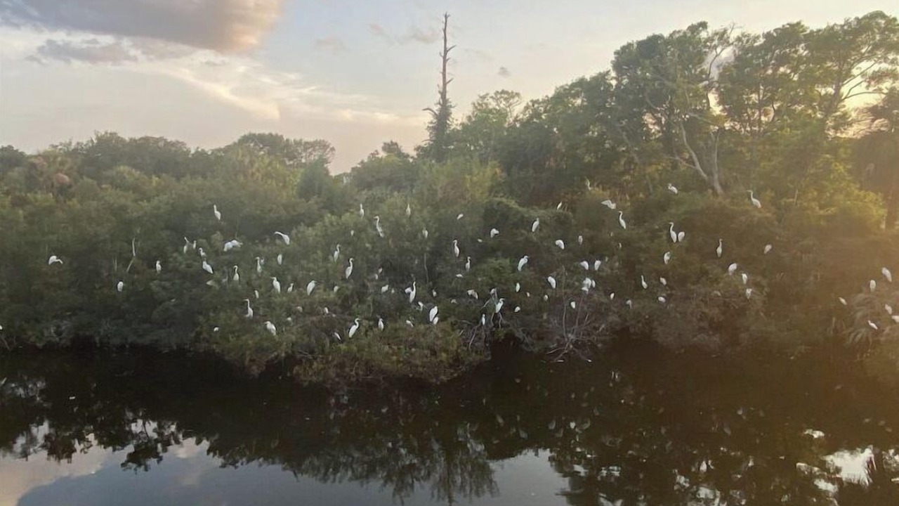 Photo of Outdoor in Ocean Ridge