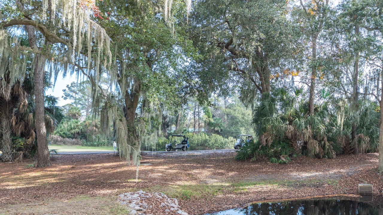 Photo of Outdoor in The Cottages