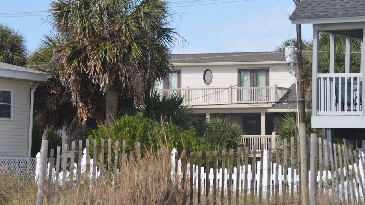 Photo of Outdoor in Edisto Island