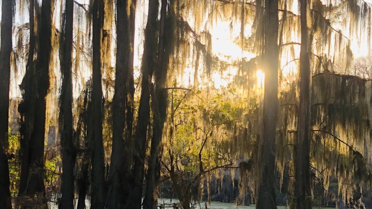 Photo of Outdoor in Oil City