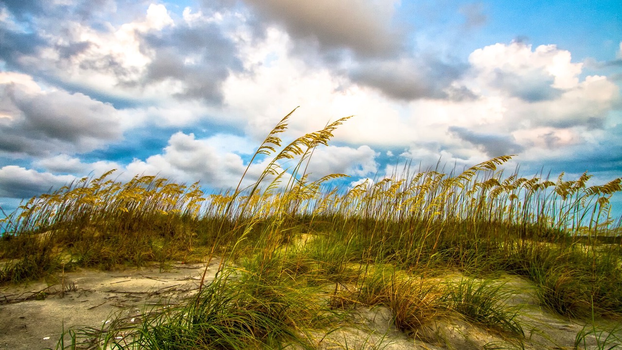 Photo of Outdoor in Pigeon Point