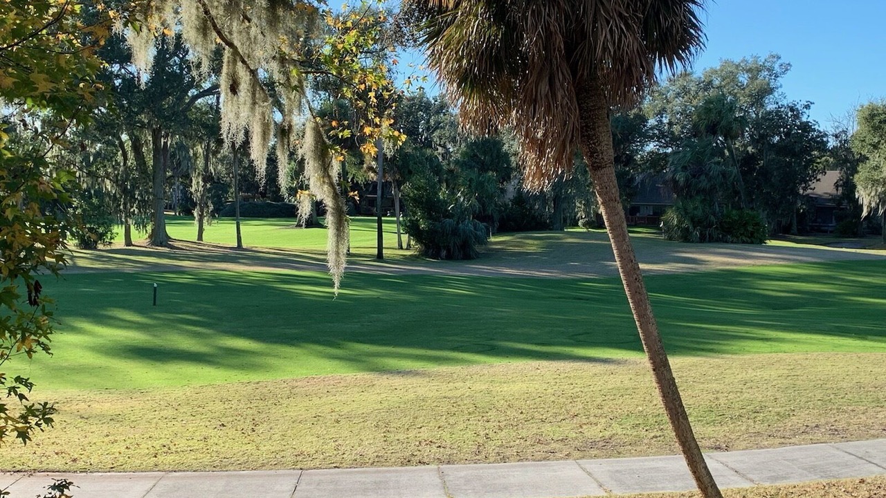 Photo of Others in Palmetto Dunes