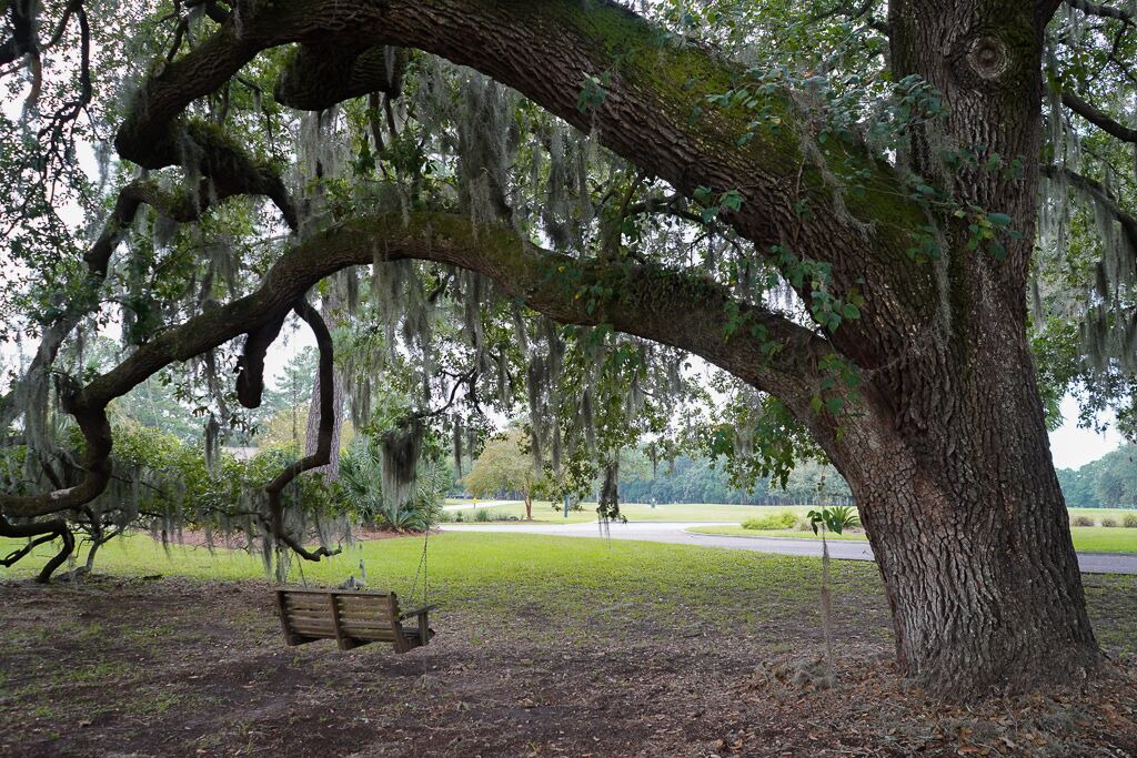 Photo of Outdoor in Beaufort