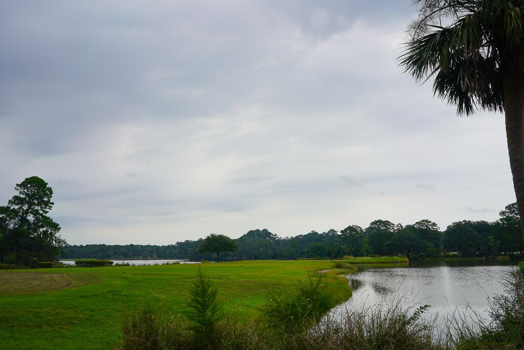 Photo of Others in Beaufort