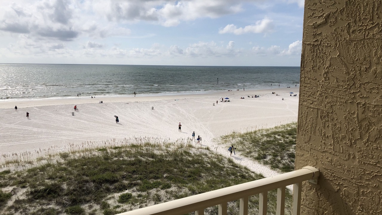 Photo of Others in Clearwater Beach