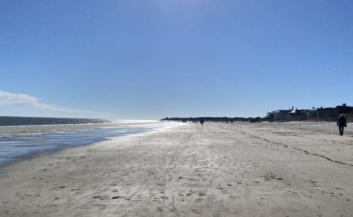 Photo of Others in Folly Field