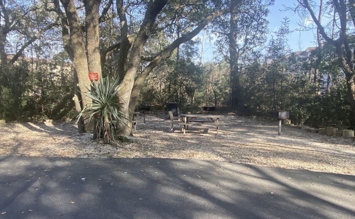 Photo of Others in Folly Field