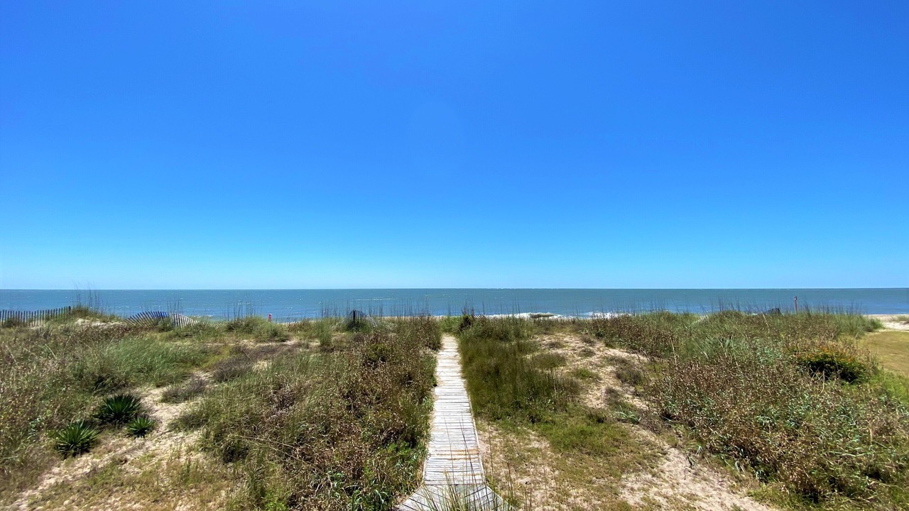 Photo of Others in Edisto Island