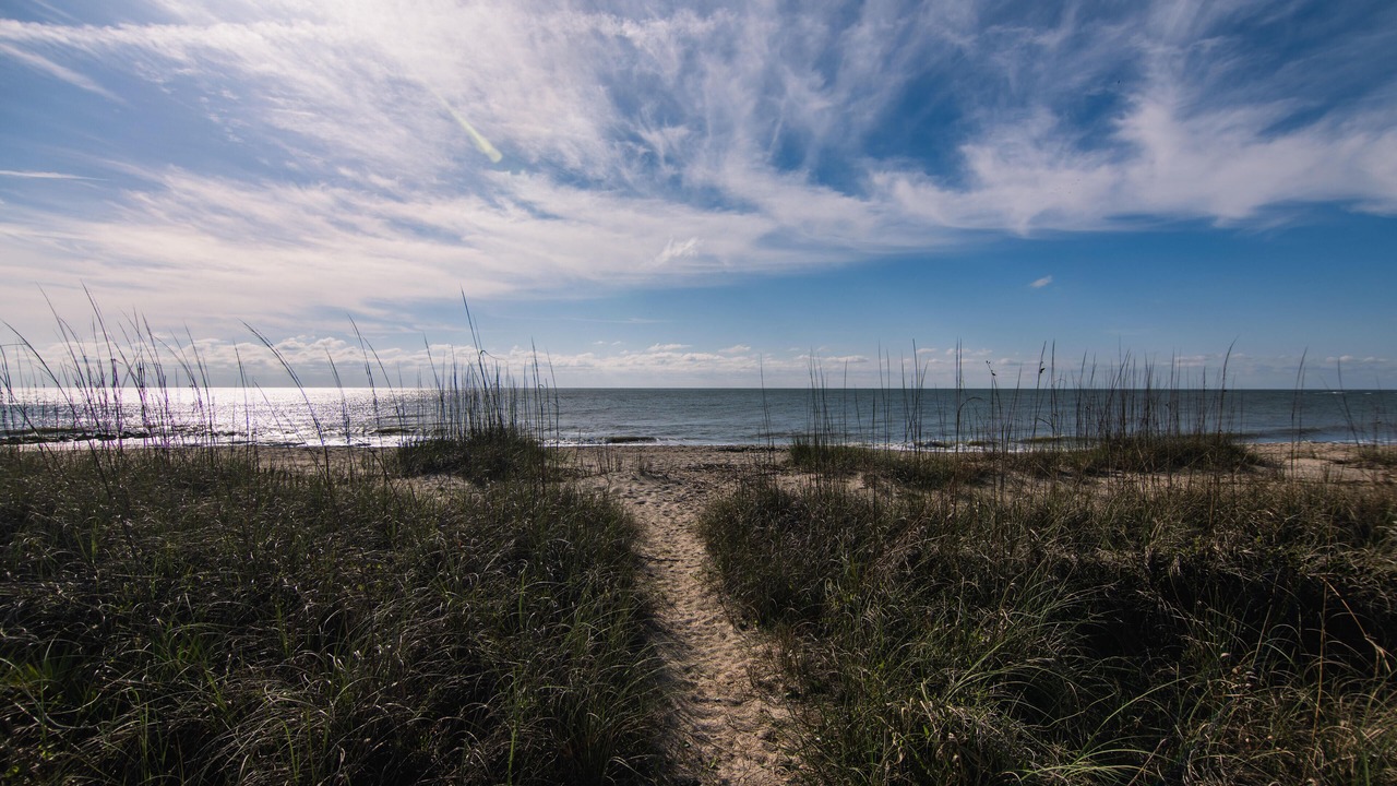 Photo of Others in Edisto Island