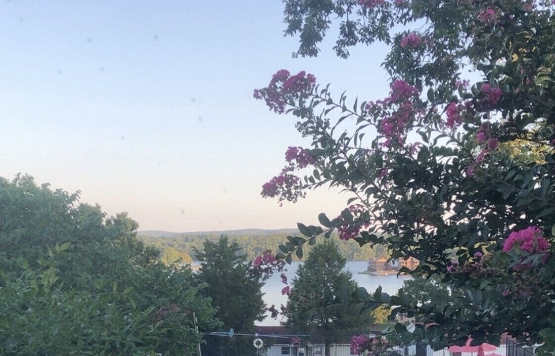Photo of Outdoor in Hot Springs