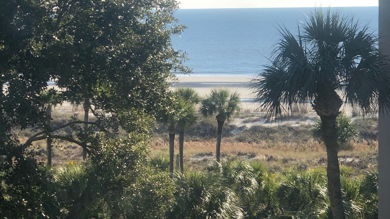 Photo of Others in Palmetto Dunes