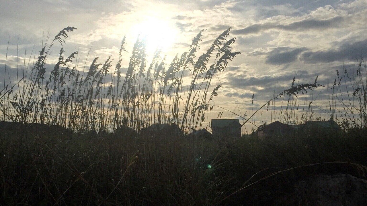 Photo of Outdoor in Oceanmarsh Subdivision