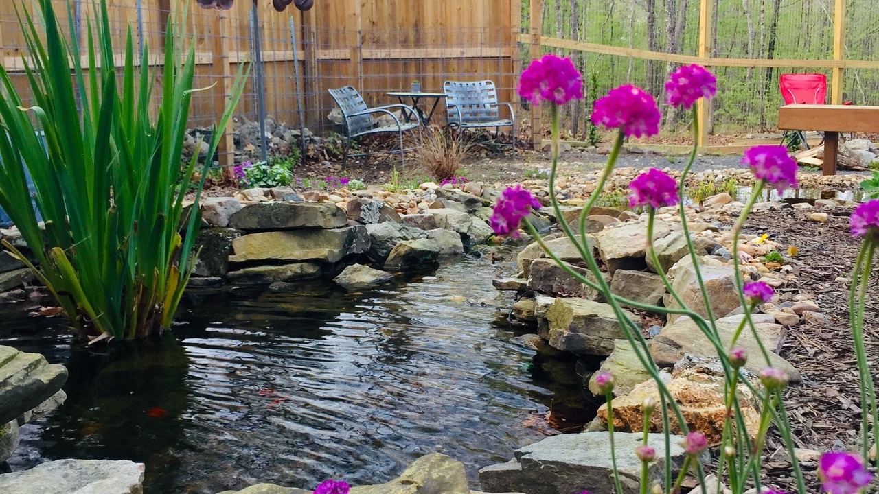 Photo of Outdoor in Jones Mills