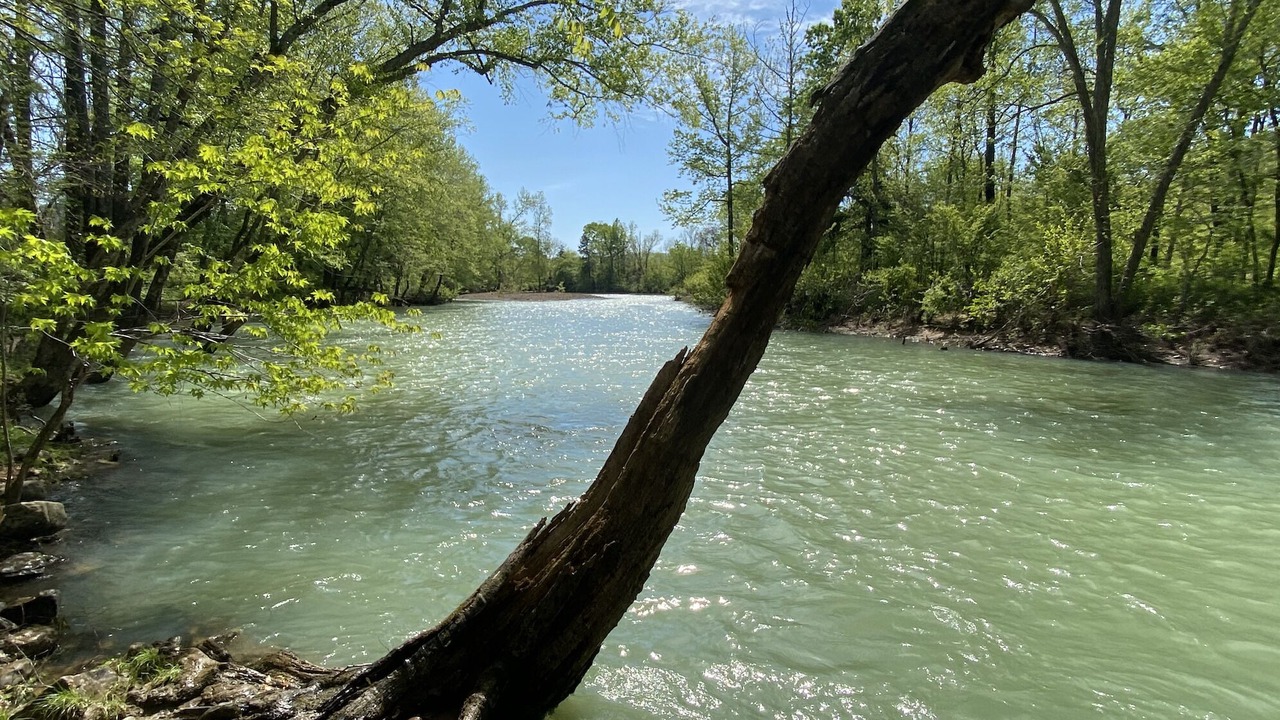 Photo of Others in Ozark