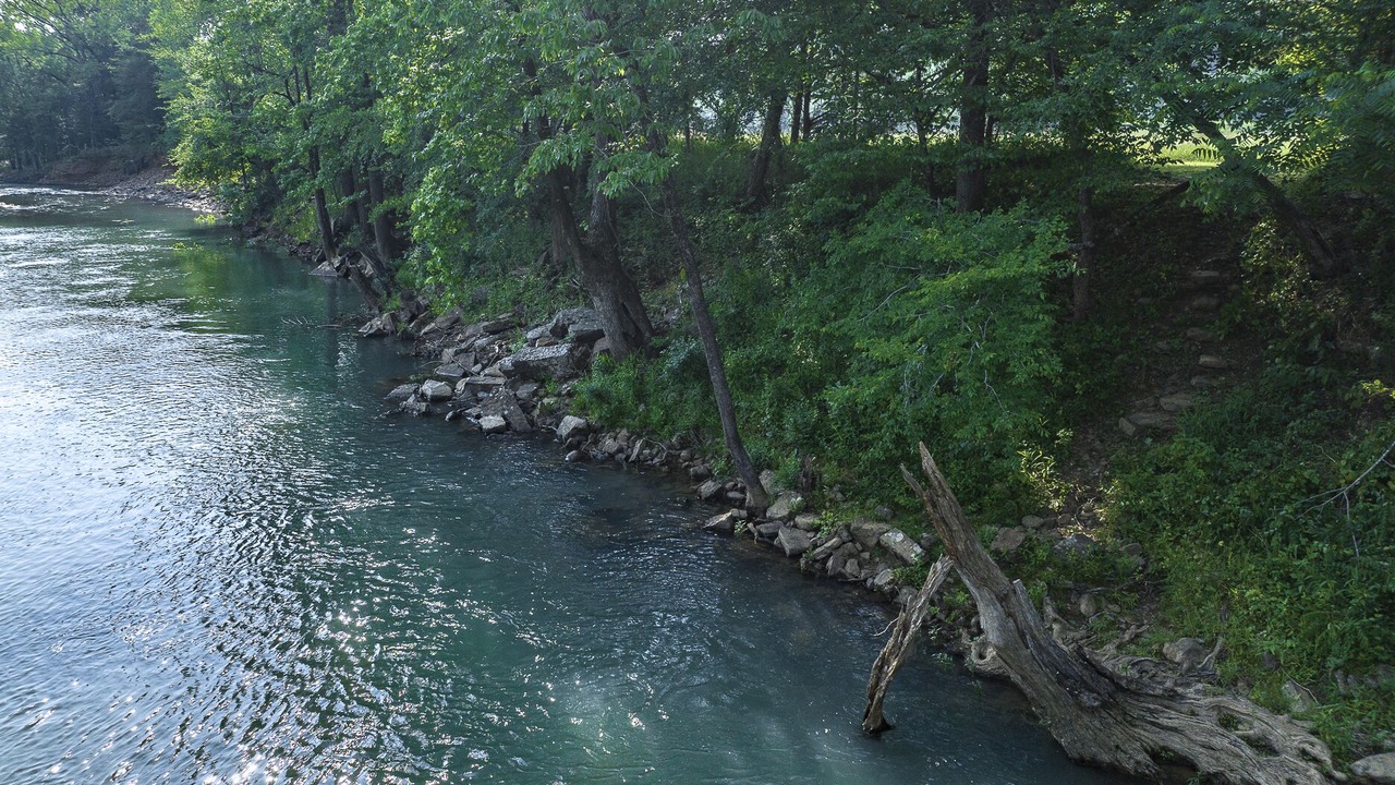 Photo of Others in Ozark