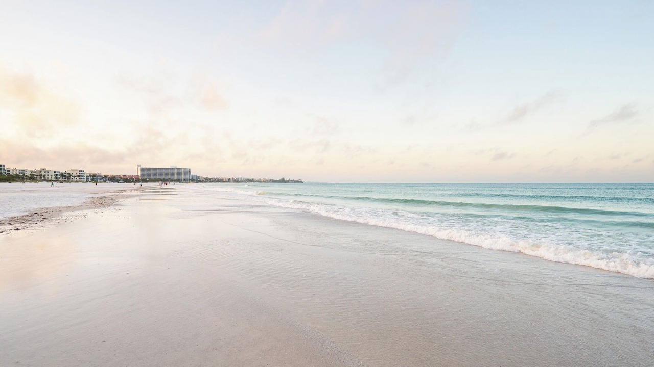 Photo of Others in Siesta Key