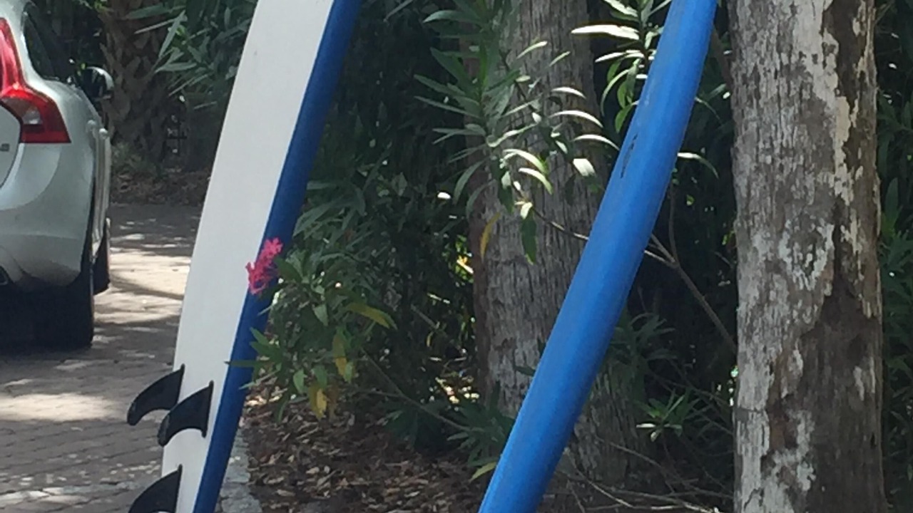 Photo of Others in North Forest Beach