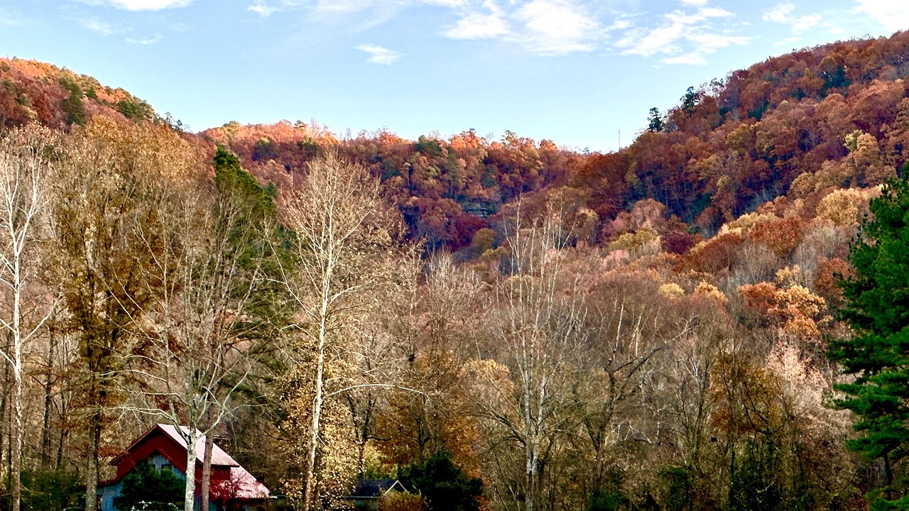 Photo of Others in Heber Springs