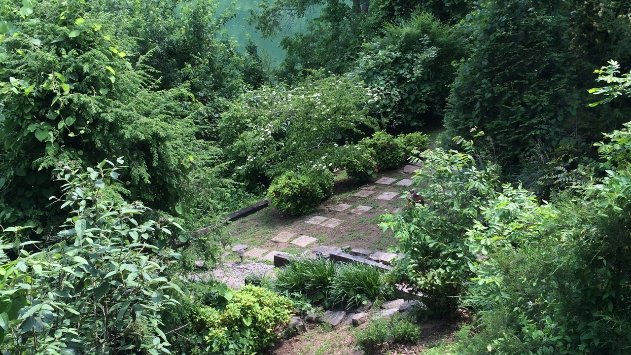 Photo of Others in Heber Springs