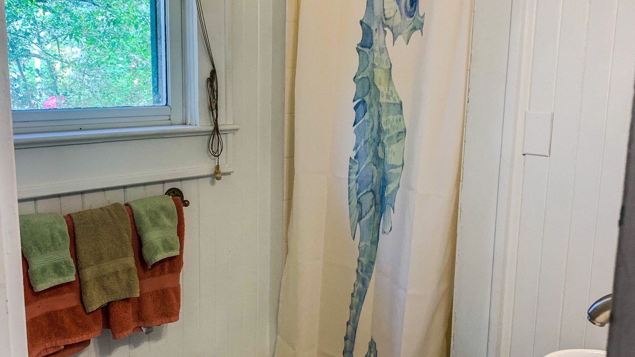 Photo of Bathroom in Folly Beach