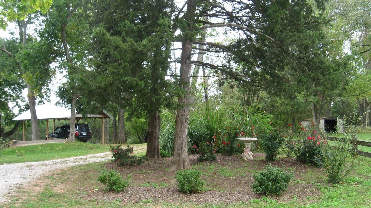 Photo of Others in Elkins