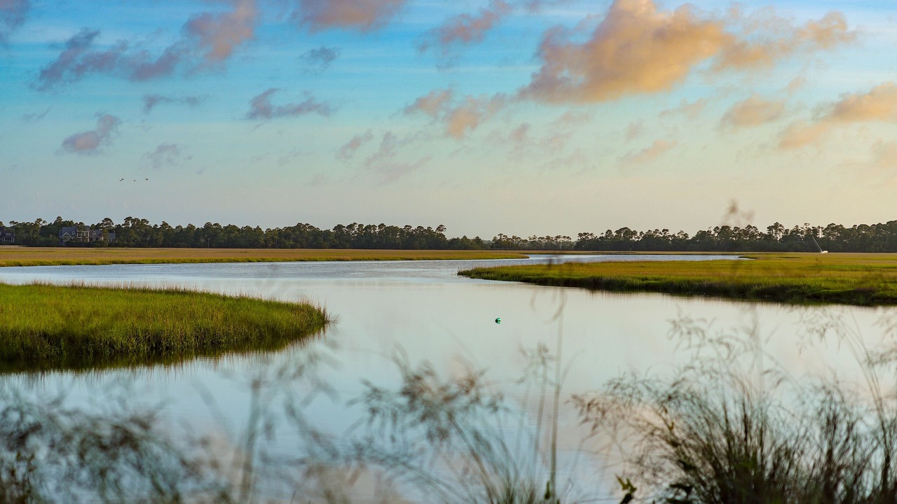 Photo of Others in Kiawah Island