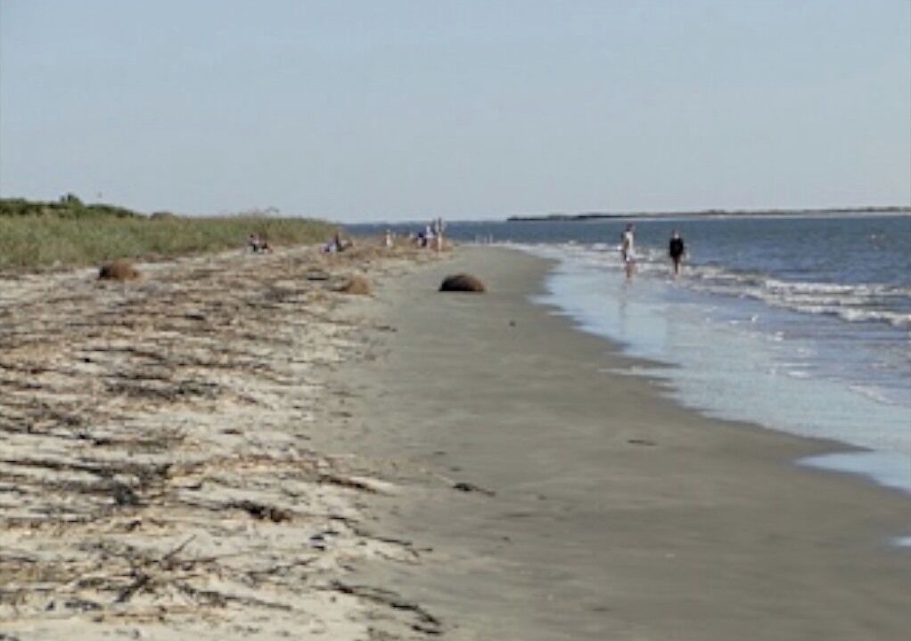 Photo of Others in Seabrook Island