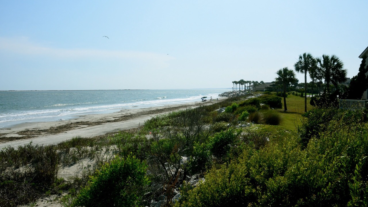 Photo of Others in Seabrook Island