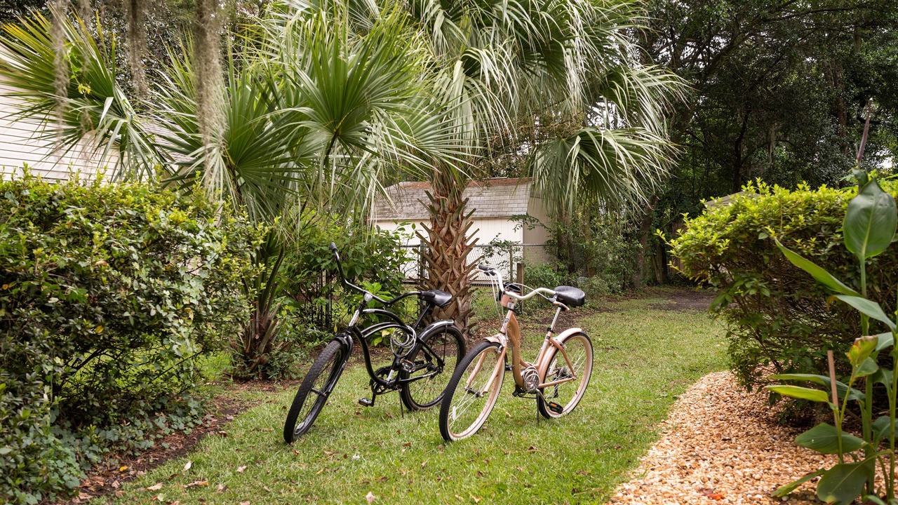 Photo of Outdoor in Pigeon Point