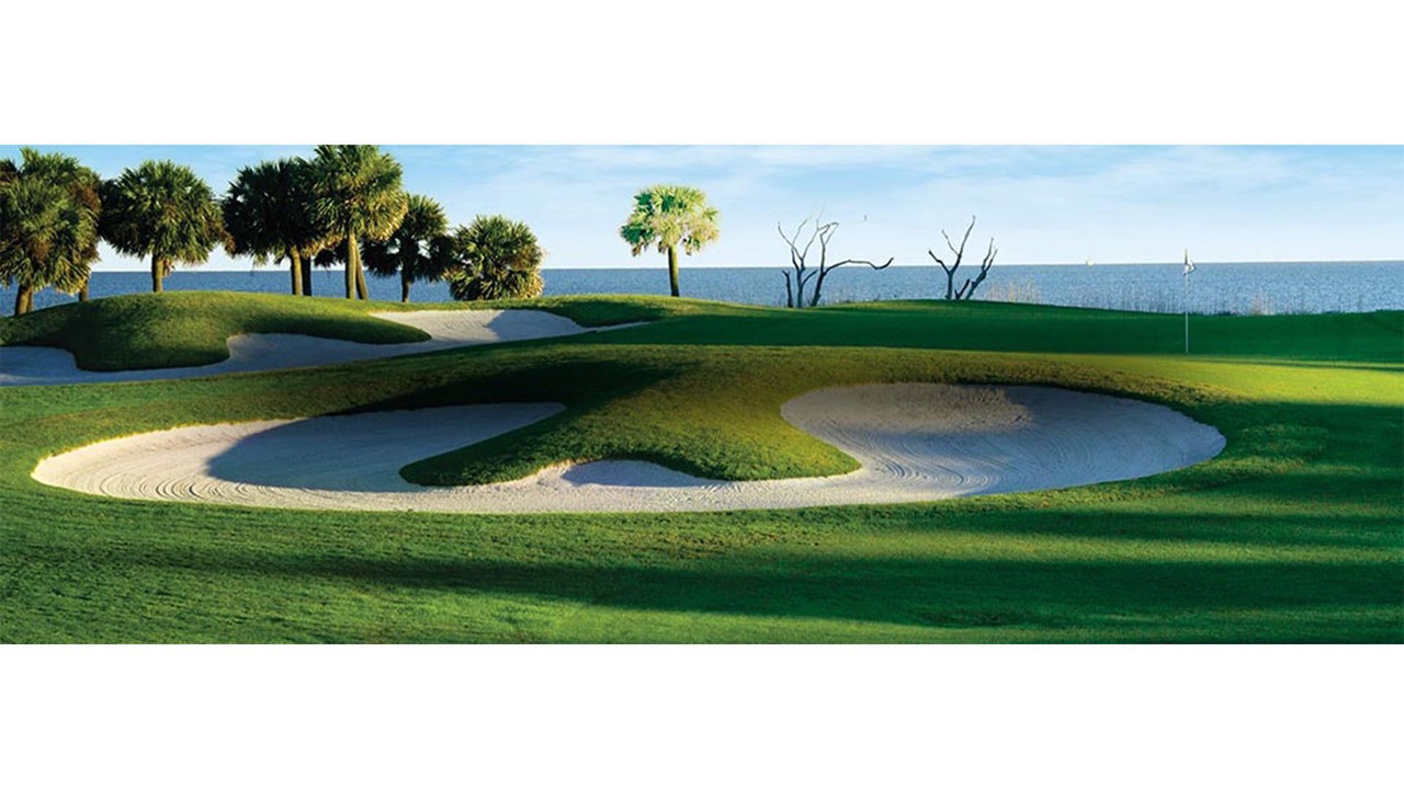 Photo of Others in Palmetto Dunes