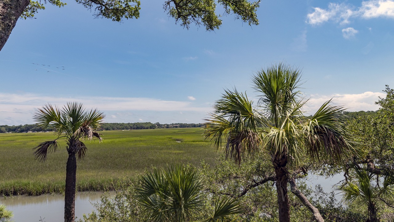 Photo of Others in Seabrook Island