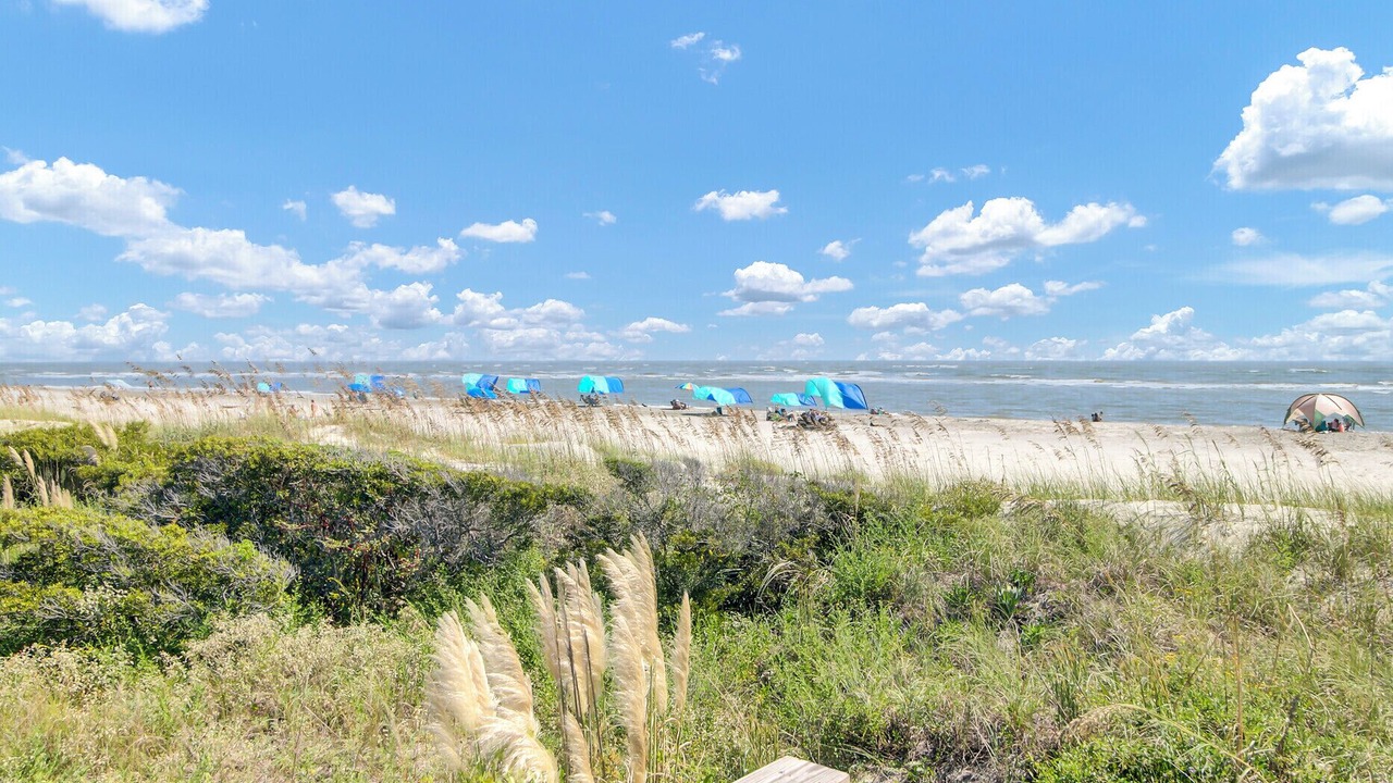 Photo of Others in Isle of Palms