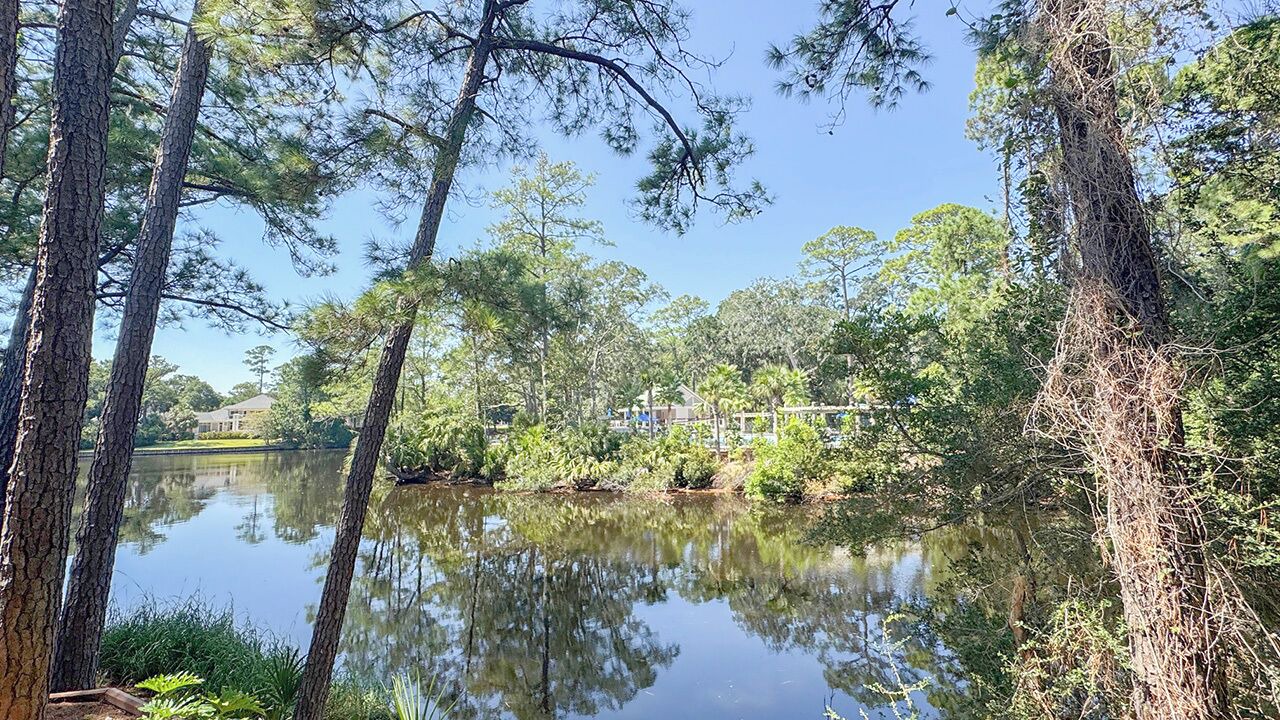 Photo of Others in Palmetto Dunes