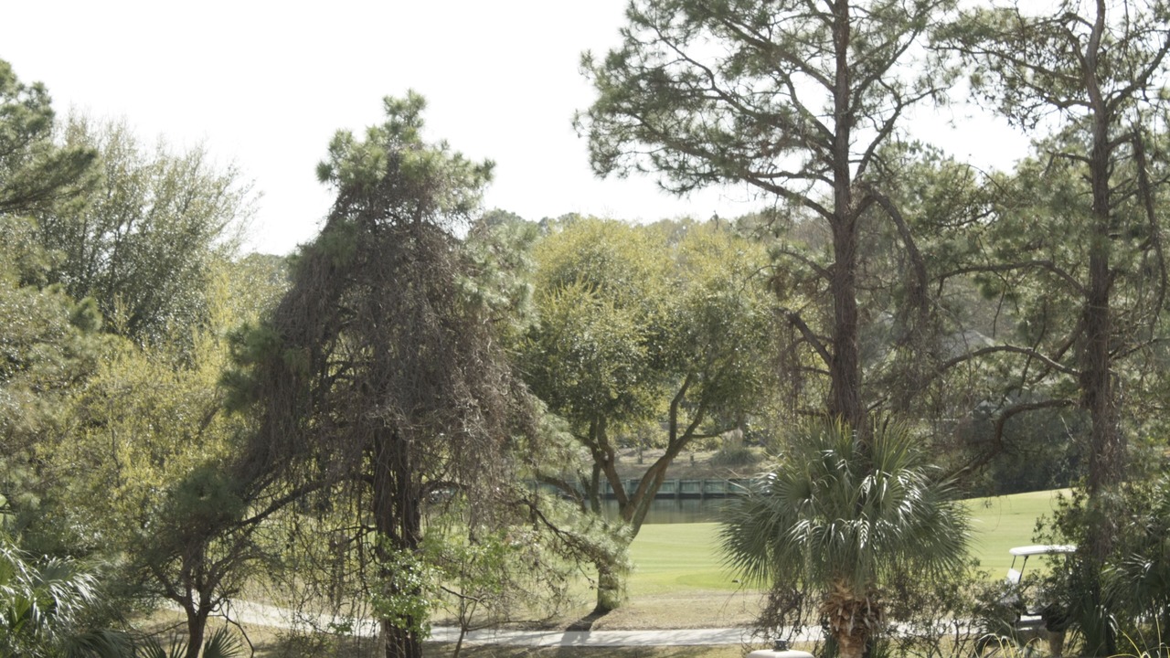 Photo of Patio Balcony in Palmetto Dunes